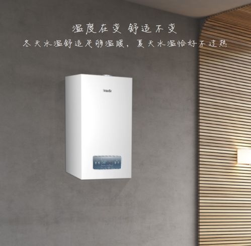 燃氣壁掛爐十大排名第一竟是她